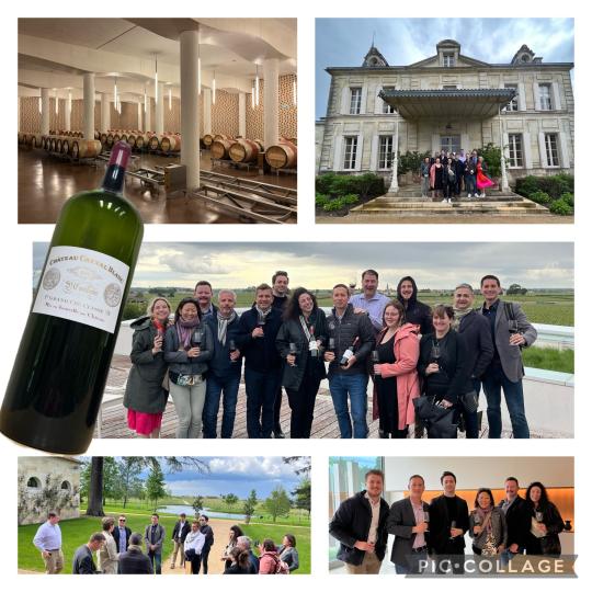 MBA trip to Bordeaux, France collage